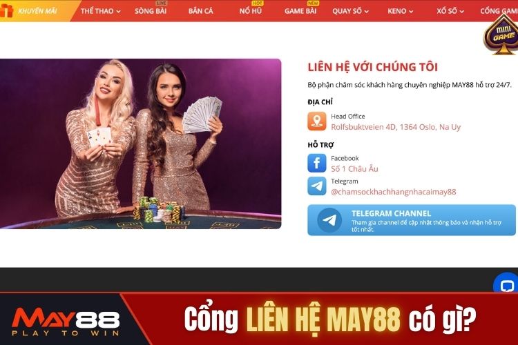 Cổng thông tin liên hệ May88 có gì?